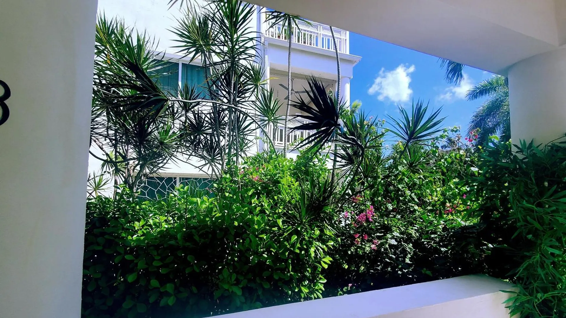 La Fenice Un Apartamento De Ensueno En Las Terrenas Playa Punta Popy 0*,